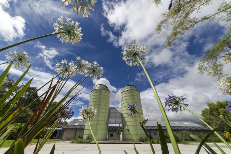 Silos de Casa Tibaná vistos entre flores