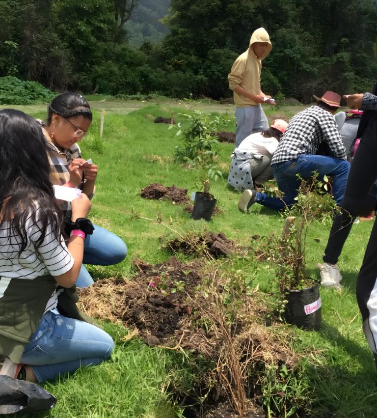 Jóvenes siembran árboles junto al bosque