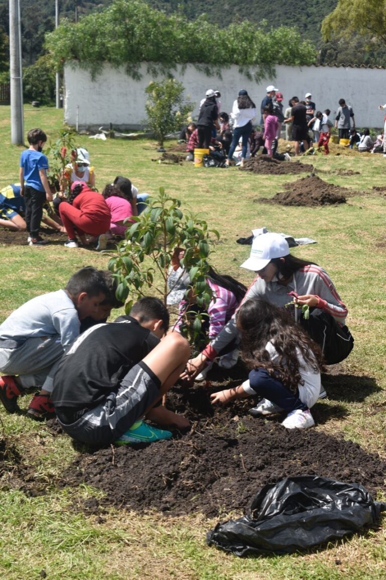 Niños y adultos siembran árboles en el terreno de Casa Tibaná
